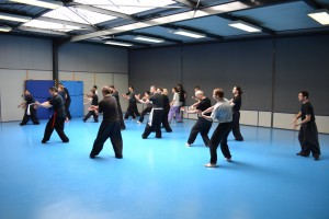 hunggarnancy-artsmartiaux-wushu-kungfu-ericbourbonnais-18juin2016-37    